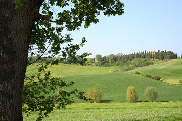 paesaggio