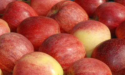 red apples at a farmers market in France