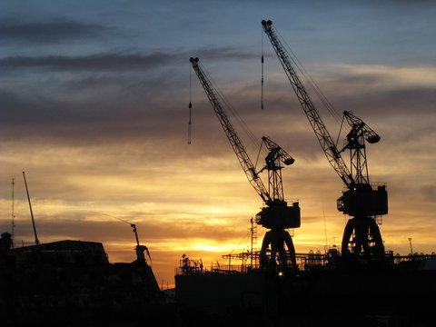 Cranes in sunset