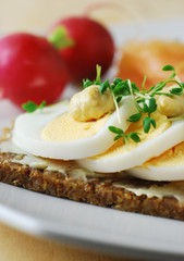 vollkorn-snack mit ei und lachs