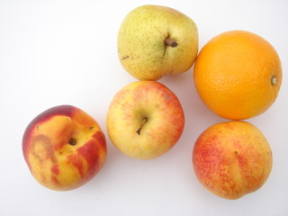fruit