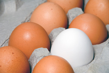 A cardboard carton of farm fresh eggs.