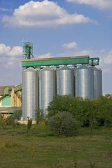 Grain Silo in the Field