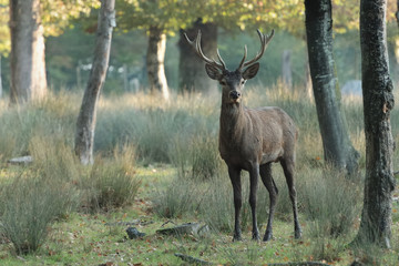 Rencontre matinale