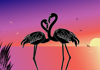 vector illustration "flamingo"
