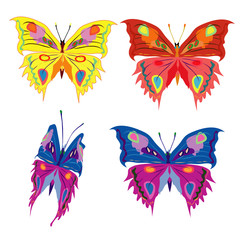 illustration vectorielle &quot papillons&quot 
