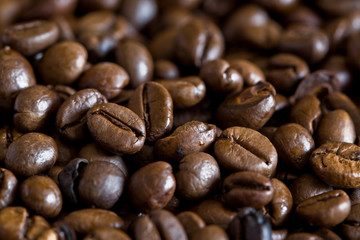 Gros plan grains de café