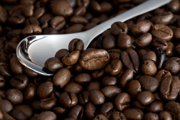 Gros plan grains de café