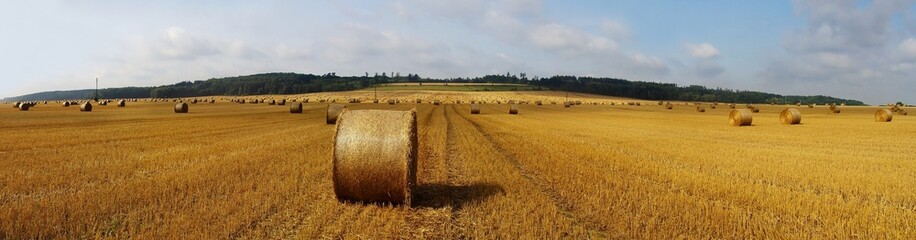Panoramic field and hay bales