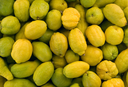 There is background of many yellow and green quinces