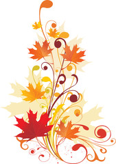 Fototapeta na wymiar Autumnal ornament with maple leaves