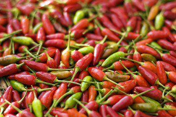 chili drying on the sun close up shoot