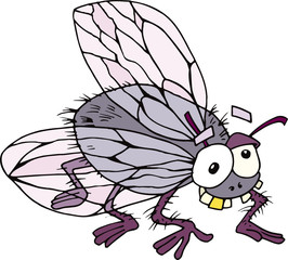 funny fly