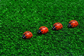 four ladybugs - 9798189