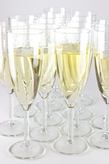 Sektgläser