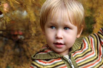 portrait of the child in autumn park