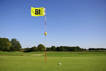 Obraz premium green n°18