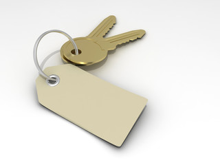 Extreme close-up of two golden keys with gift tag