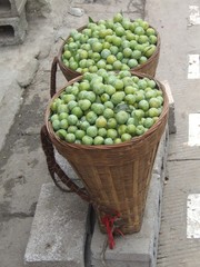 paniers de prunes