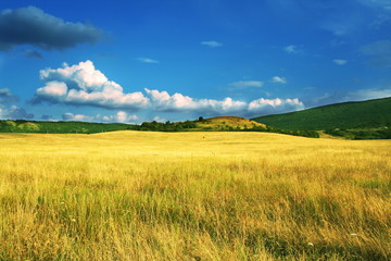 Obraz premium Autumn landscapes