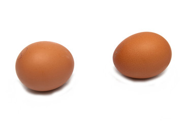 chicken eggs isolated on white