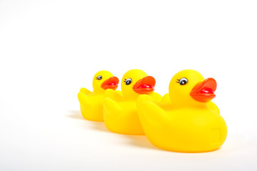 Yellow rubber duck leading two smaller rubber ducks