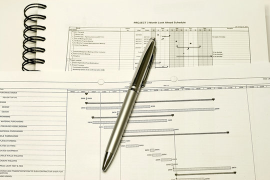 Project Planning and Schedule