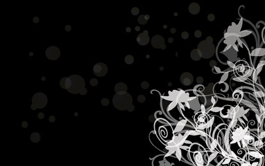 Roses blanches sur fond noir avec bulles