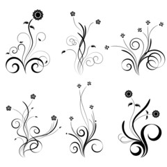 Curled vector floral elements for design