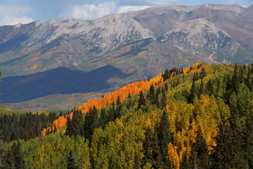 Fall Colors off Kebler Pass in Colorado