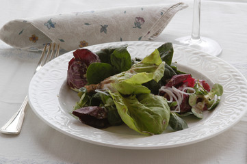 Radici e fasioi - Primi del Veneto