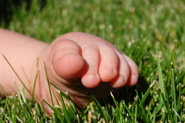 Baby toes - 9811921