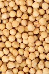 backbround of soybeans - food and drink