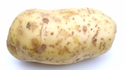 Large baking potato