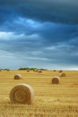 Hay Bales in Field with Stormy Sky