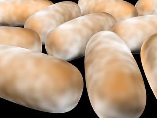 3D render of bacteria