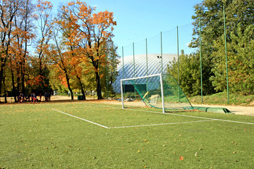 Soccer gate
