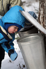 Toddler Looking in Pail