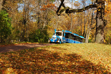 Fototapeta na wymiar An autumn sun day is in a park.
