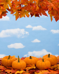 Naklejka na ściany i meble Fall leaves with pumpkin on sky background, fall harvest