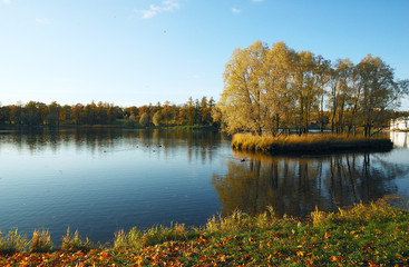 An autumn sun day is in a park.