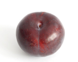 One plum on white background