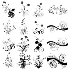 Curled vector floral elements for design