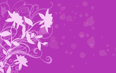 Roses blanches sur fond rose fushia et bulles