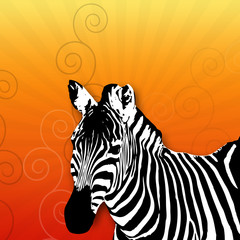 Zebra mit Streifen-Hintergrund