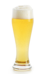 Mug of lager beer isolated on white