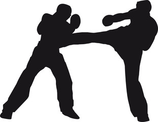 Kickboxer
