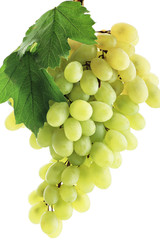 Obraz premium Fresh Vegetables, Fruits and other foodstuffs. Shot in a studio.