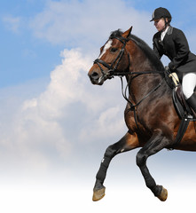 Obraz premium show jumping - woman and bay horse