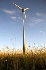 wind farm turbine generators rows at dusk